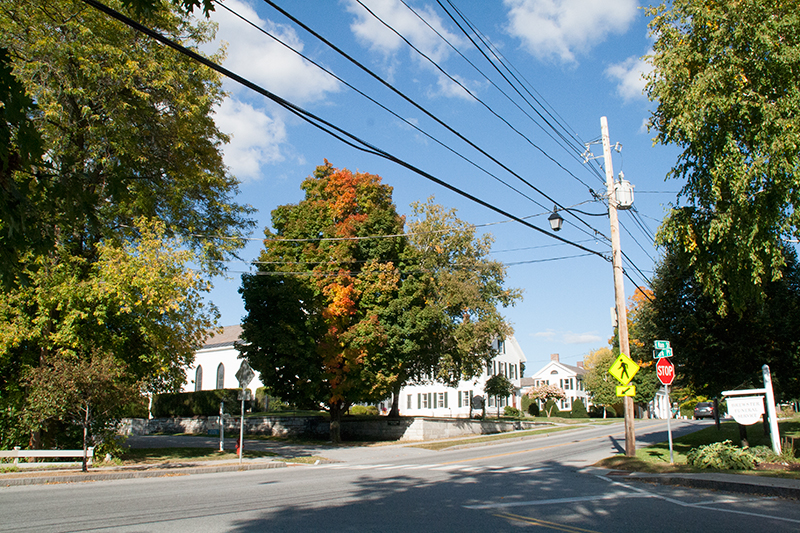 green tree turning shades of fall